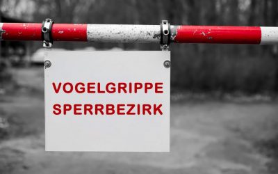 SWR Fernseh-Team dreht auf dem Geflügelhof Lehnertz